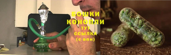 шишки Абаза
