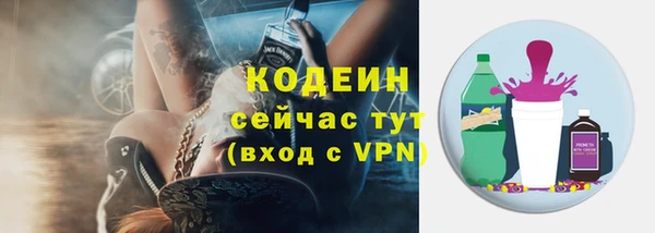 шишки Абаза