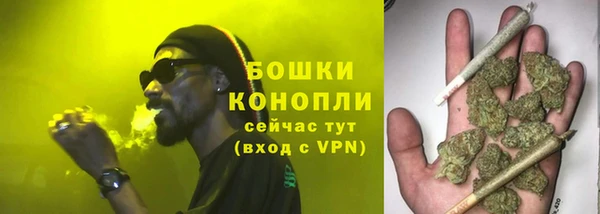 шишки Абаза