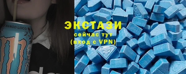 шишки Абаза