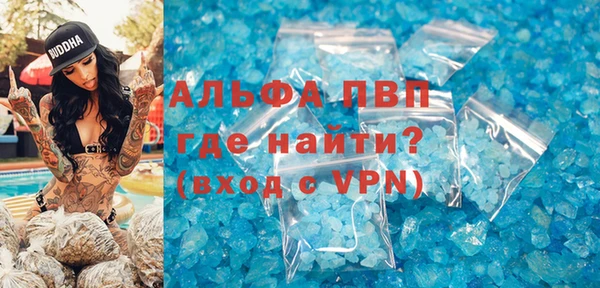 шишки Абаза