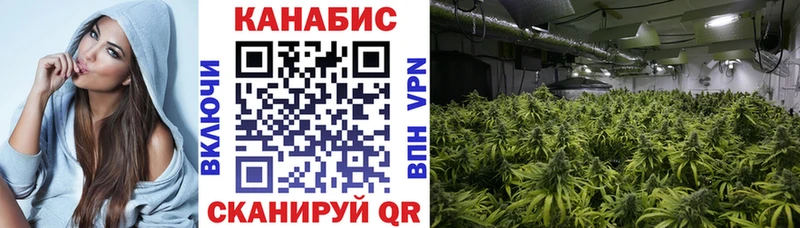 закладка  Аргун  Конопля ГИДРОПОН 